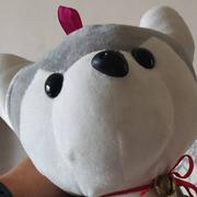 隐身615的个人资料头像