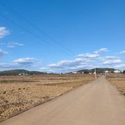 阿珍961的个人资料头像