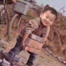 静坐15楼的个人资料头像