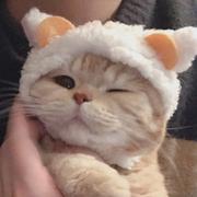 前端小厮的个人资料头像