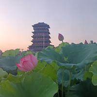 热心清风yKR头像