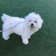 非典型修行者的个人资料头像