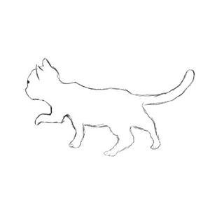 CatLife头像