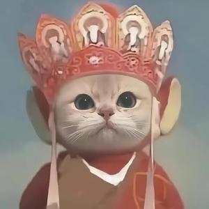 小马哥vIog头像