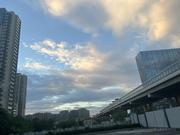 初级的小码农的个人资料头像