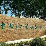 大米之本源头像