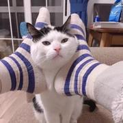 Spray的个人资料头像