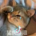 不打游戏头像