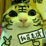 东的个人资料头像