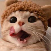 今天学习了吗341的个人资料头像