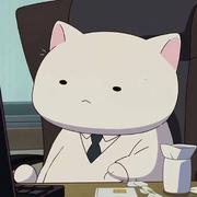 BirdAndNew的个人资料头像