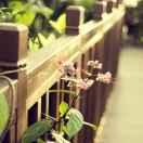 番茄的个人资料头像