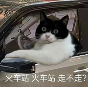 吴国太蜜水的个人资料头像