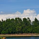 舒服船夫捡君城东花荣头像