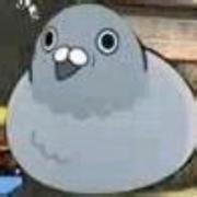 陆春阳592的个人资料头像