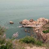 爱家布莱恩8d2头像