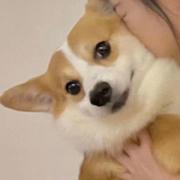 Autism丶的个人资料头像