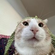 网恋被骗五北二的个人资料头像