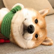 1拳1个大明白的个人资料头像