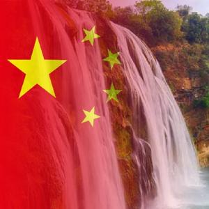 我的未来我做主0头像