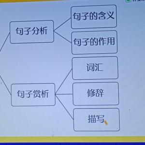 彩霞9296头像