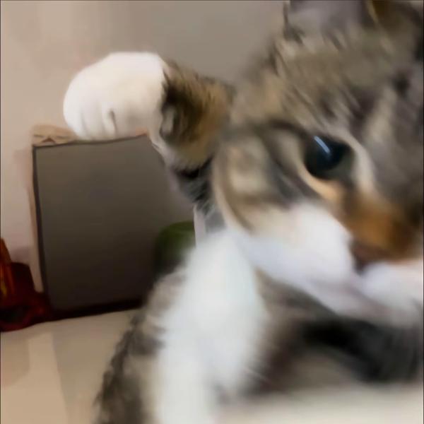 三年一班小王同学头像