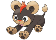 仰望星空治颈椎的个人资料头像