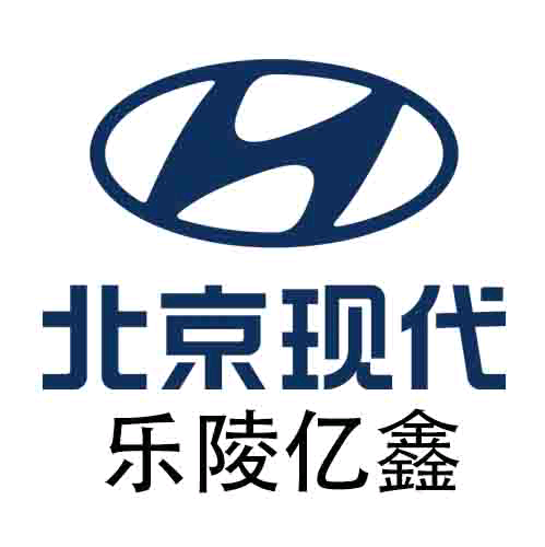 乐陵亿鑫北京现代头像