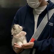 ikkk楠的个人资料头像