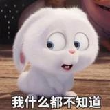 用户91373752头像