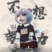 YANGJIANG的个人资料头像