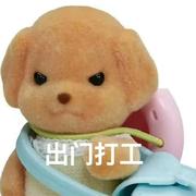 飞天小狗的个人资料头像