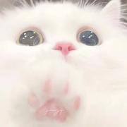 爱情降临的个人资料头像