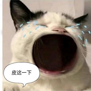 小知识在这里头像