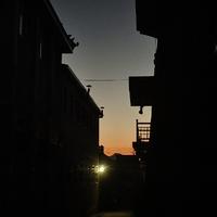 坐骑挑选中头像