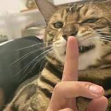 用户3781095400862头像