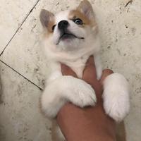 清风慢慢来头像