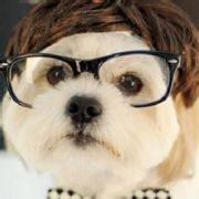 跌倒了你就站起来的个人资料头像