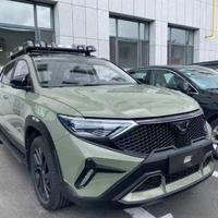 是一只大狮子头像