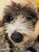 桃源话c的个人资料头像