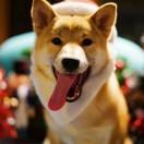 狗子同志107273的个人资料头像