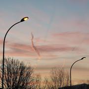 阿铁742的个人资料头像