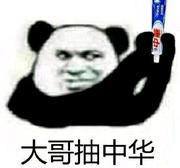 代码搬砖工的个人资料头像