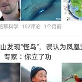 神秘黑椒鸡块发头像