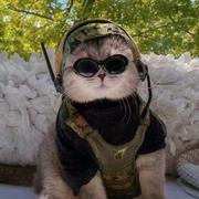 P的个人资料头像