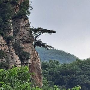 平淡人生xjf头像