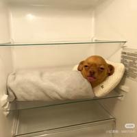 我看你是闲的地上找盐头像