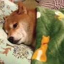 吴宇晨的个人资料头像