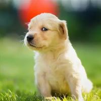 静静一个人儿头像