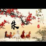 小朱6916头像